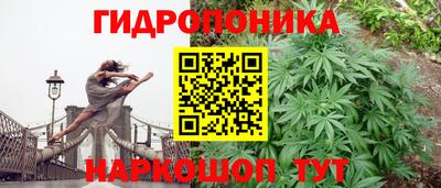 дживик Мариинск
