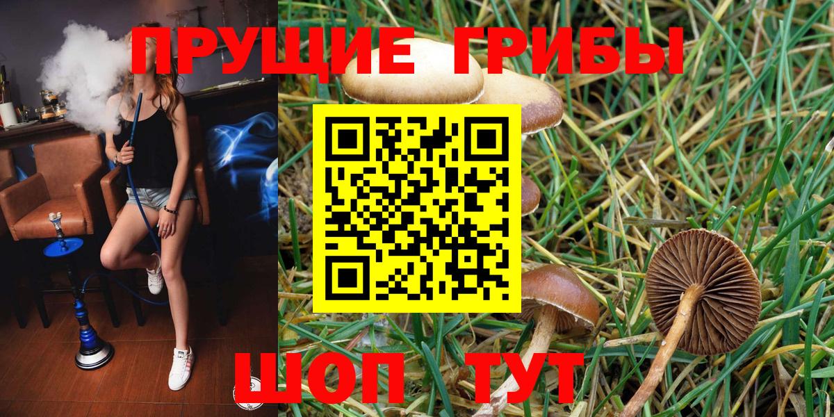 Галлюциногенные грибы мицелий Богданович