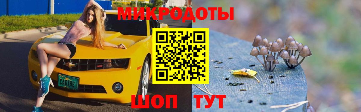 Псилоцибиновые грибы Cubensis  Вход с VPN  Богданович  Галлюциногенные грибы Psilocybine cubensis 